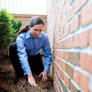 technician checking for signs of termites around foundation