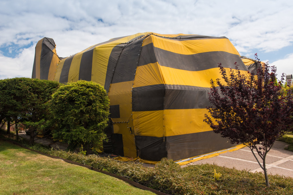 house tenting fumigation